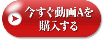 動画Aを購入する